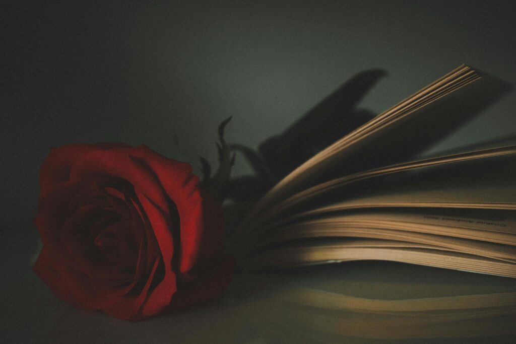 A dramatic and moody close-up of a red rose resting on an open book's pages in soft lighting.