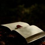 An open book with red leaves in a dark, mysterious, autumnal setting.