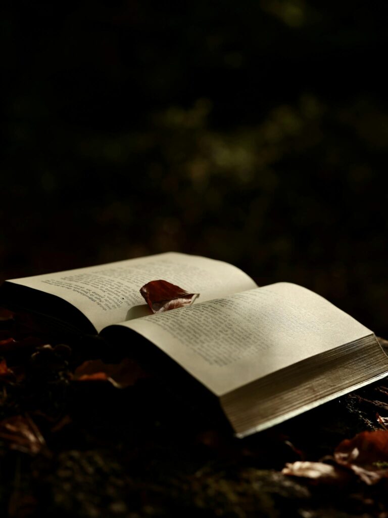 An open book with red leaves in a dark, mysterious, autumnal setting.