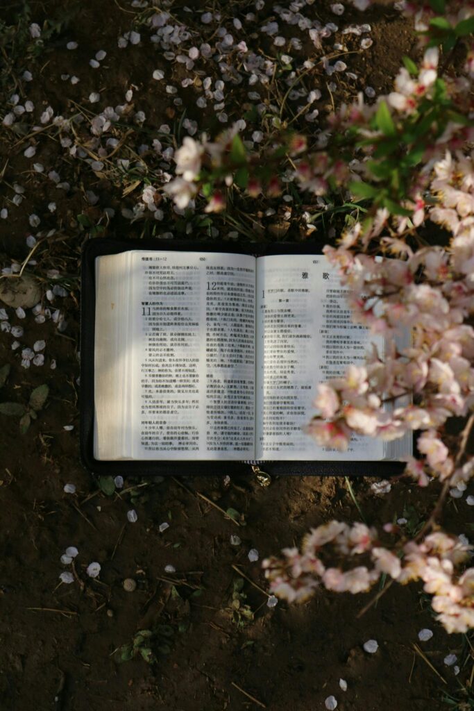 Open Chinese book surrounded by pink cherry blossoms on ground.